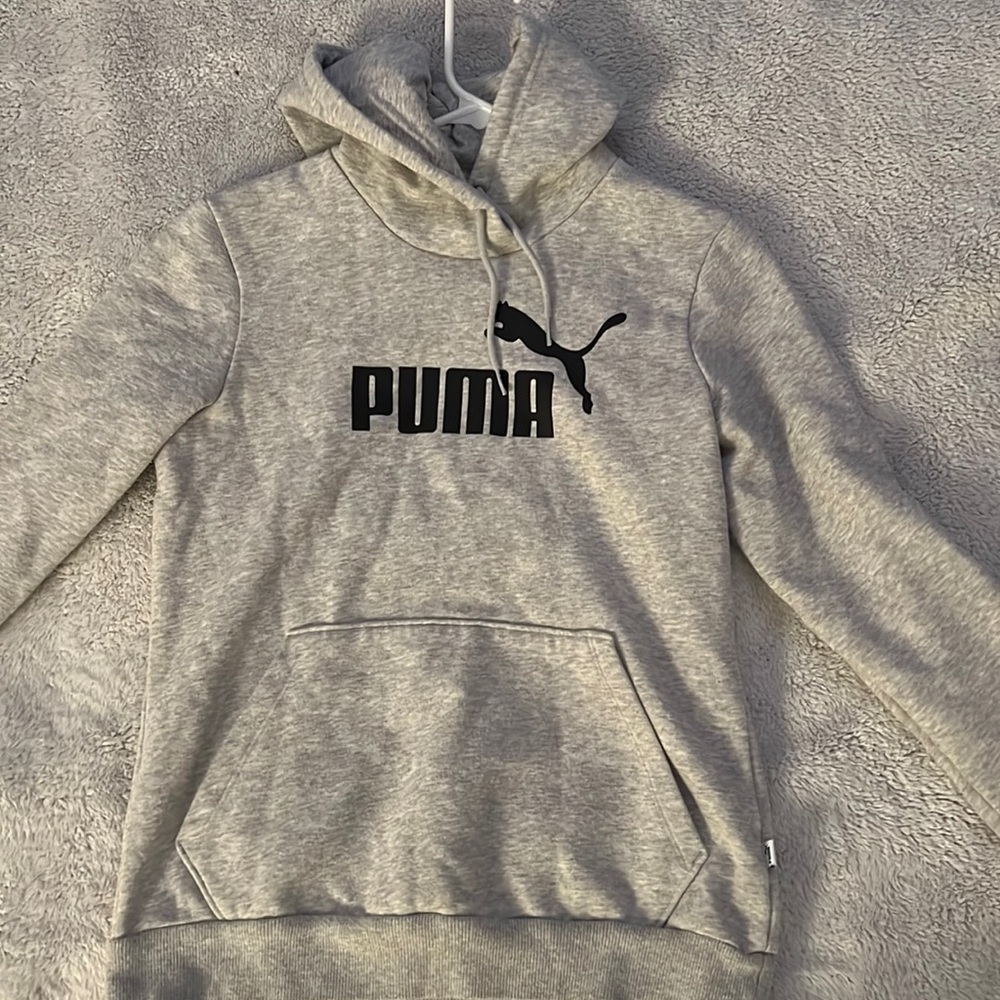Puma Medium Gray hoodie